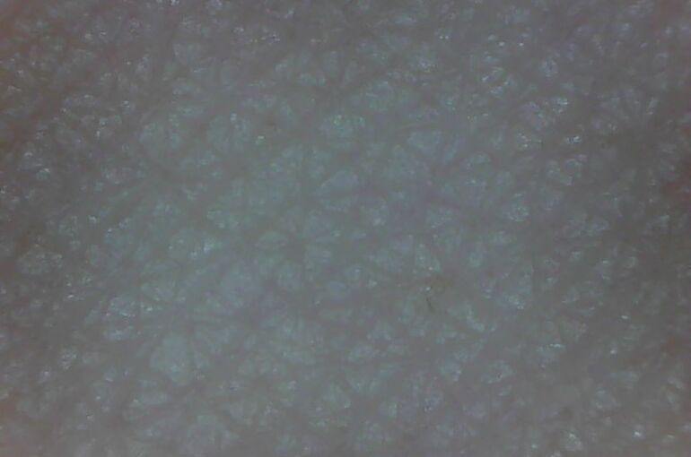 2021.8.16_sample